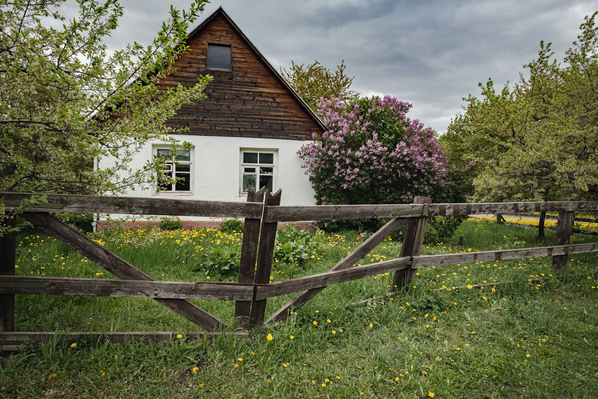 Rustic landscape in spring, small village house